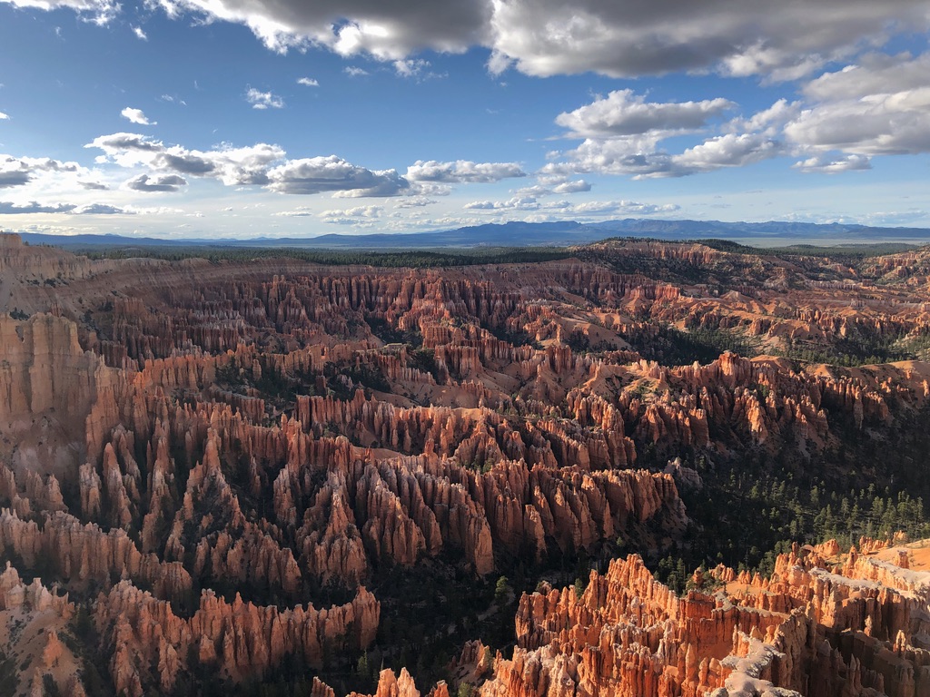 Looking over the canyon edge at the hoodoos of Bryce Canyon National Park.